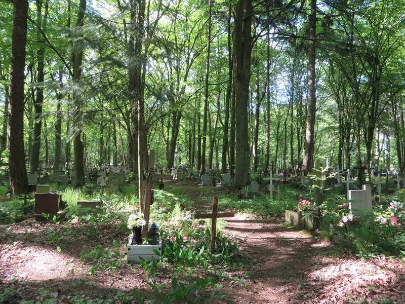 stettin szczecin cemetery