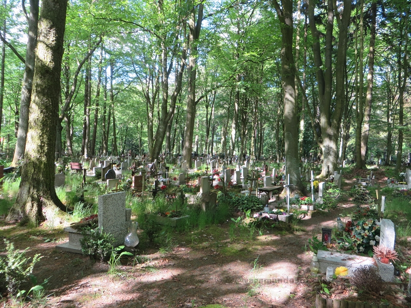 stettin-szczecin-cemetery-102
