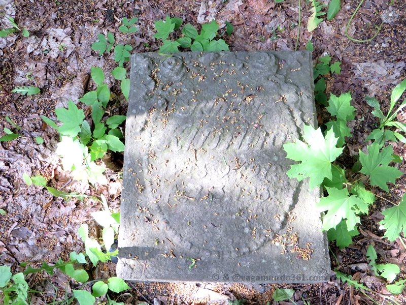 stettin szczecin cemetery