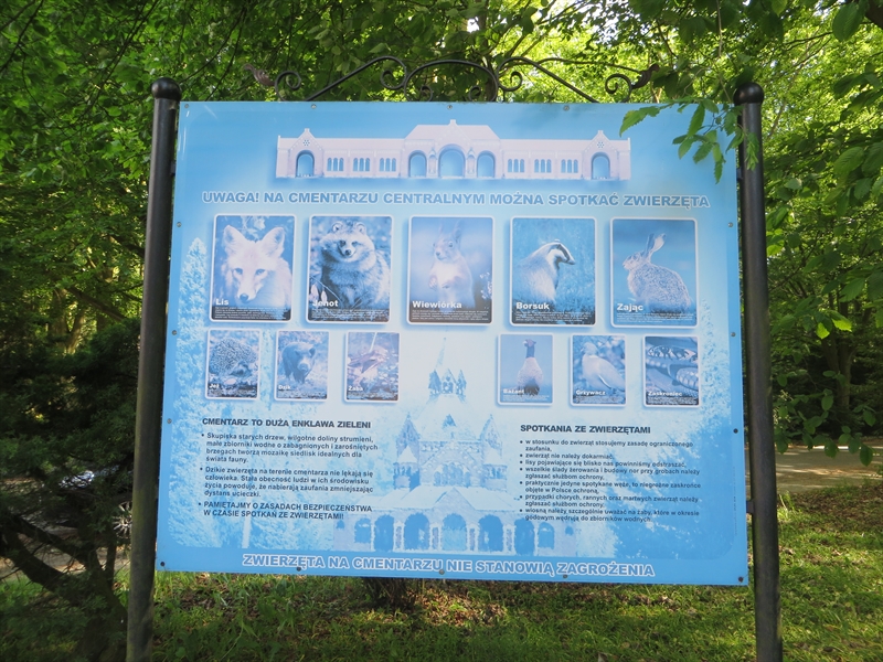 stettin szczecin cemetery