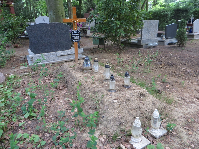 stettin szczecin cemetery