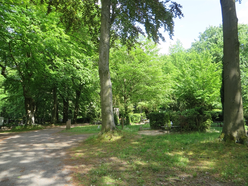 stettin szczecin cemetery