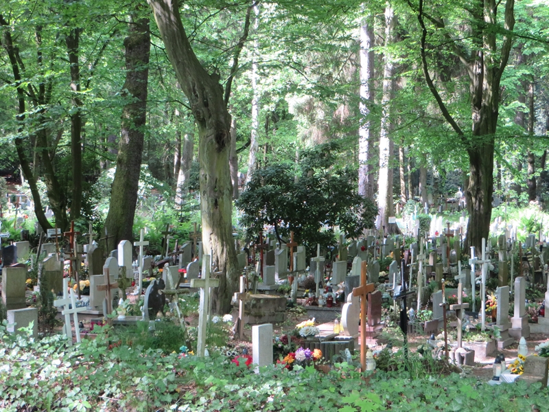stettin szczecin cemetery