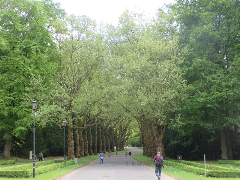 stettin szczecin cemetery