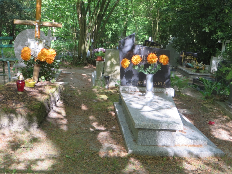 stettin szczecin cemetery