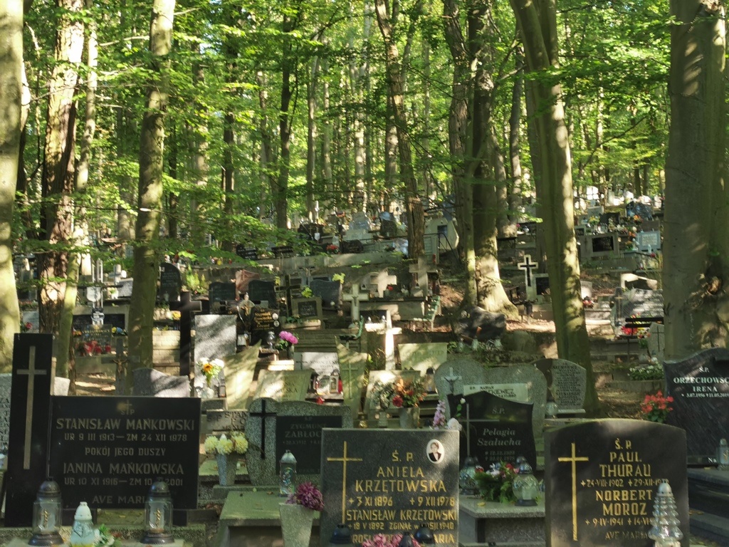 Zentralfriedhof Danzig